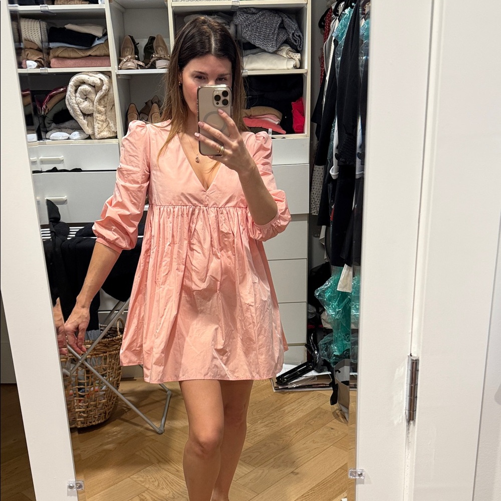 Aritzia pink organza Dress